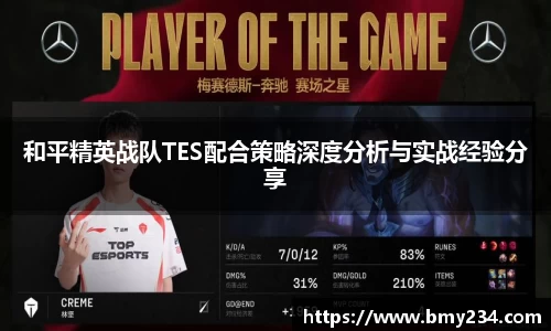和平精英战队TES配合策略深度分析与实战经验分享